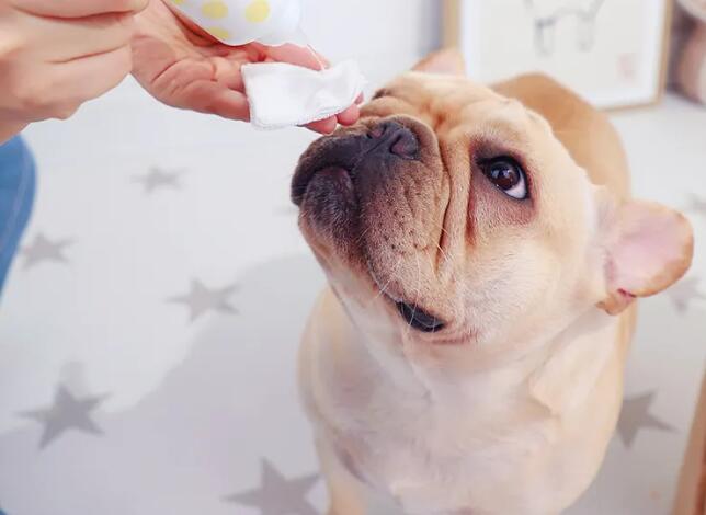 寵物用品進口報關關稅稅率（寵物用品進口關稅是多少？）